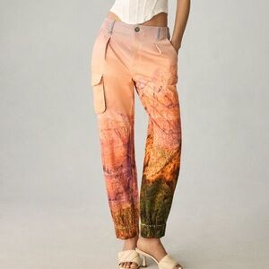 Anthropologie Pilcro Relaxed Chino Pants in Pink Combo Scenery